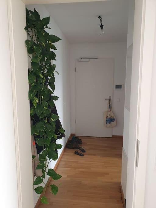 Appartement Cozy Flat In Mitte. Berlijn