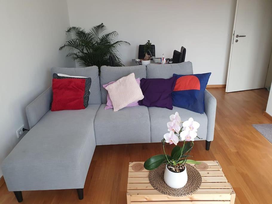 Cozy Flat In Mitte. * Berlijn